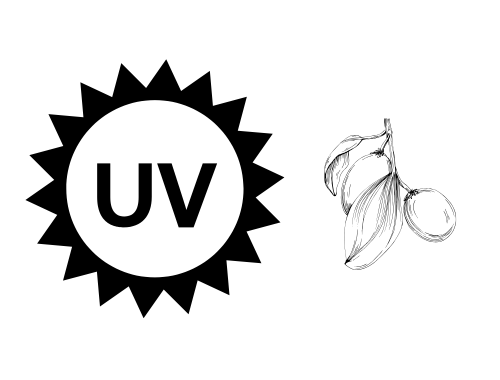 UV-straling en jojoba olie UV-straling en jojoba olie