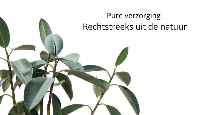 Pure verzorging met jojoba olie - 100% natuurlijk product voor huid en haar