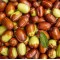 jojoba noten