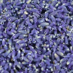 Gedroogde Lavendelbloemen Bio